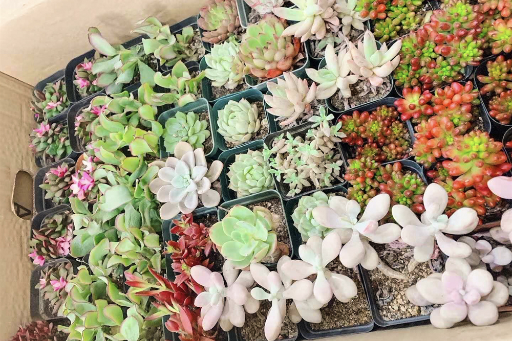 WG����(�й���)-�ٷ���վ