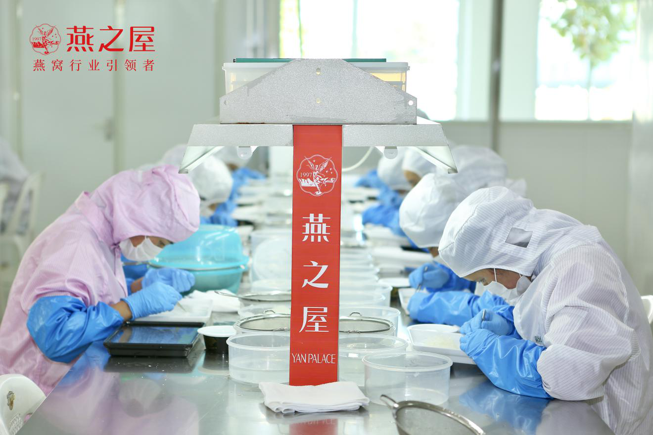 WG����(�й���)-�ٷ���վ