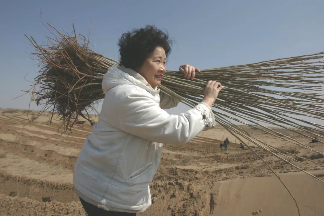 WG����(�й���)-�ٷ���վ