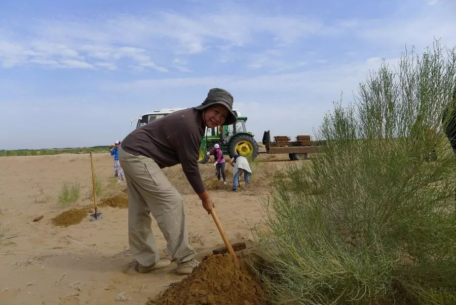 WG����(�й���)-�ٷ���վ