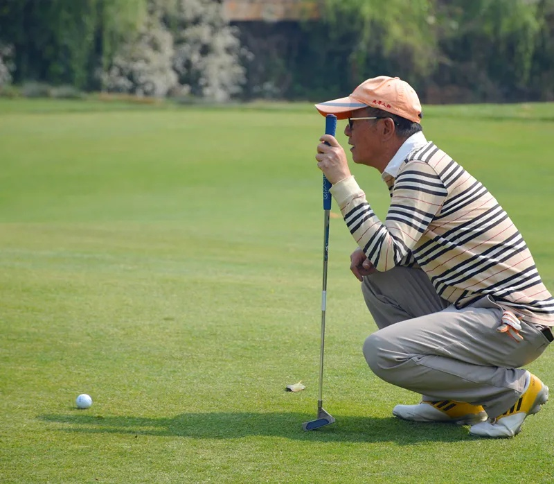 WG����(�й���)-�ٷ���վ