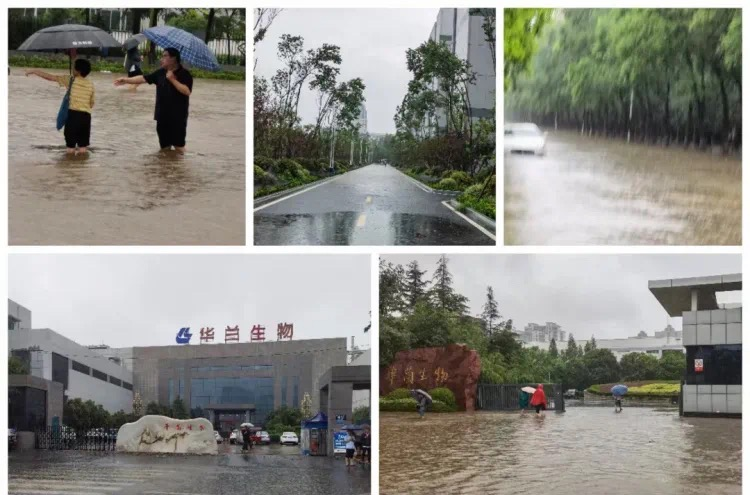 WG����(�й���)-�ٷ���վ