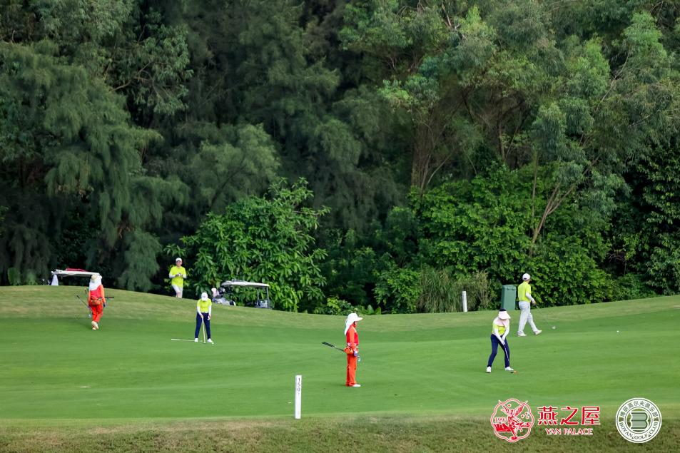 WG����(�й���)-�ٷ���վ