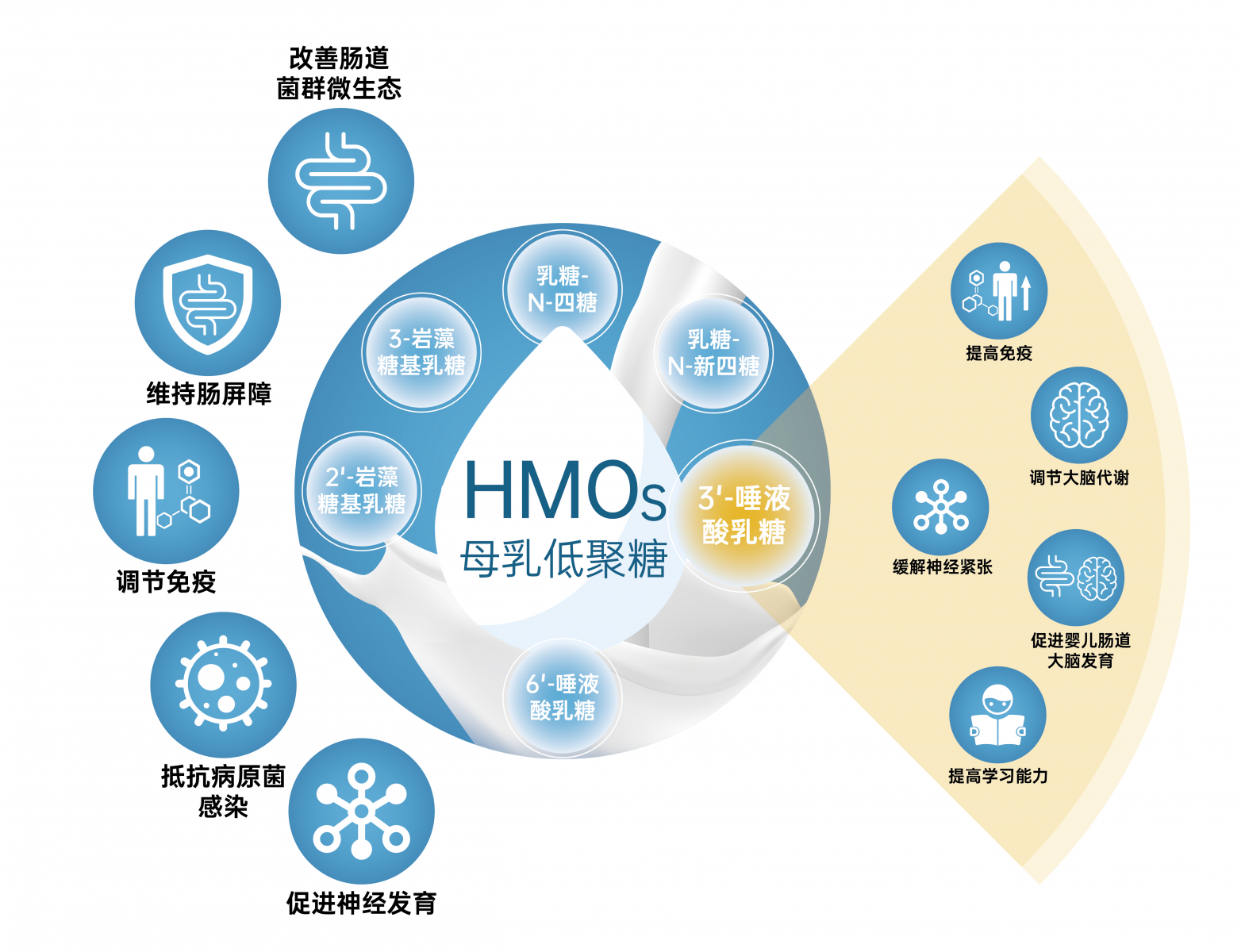 WG����(�й���)-�ٷ���վ