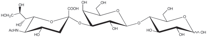 WG����(�й���)-�ٷ���վ