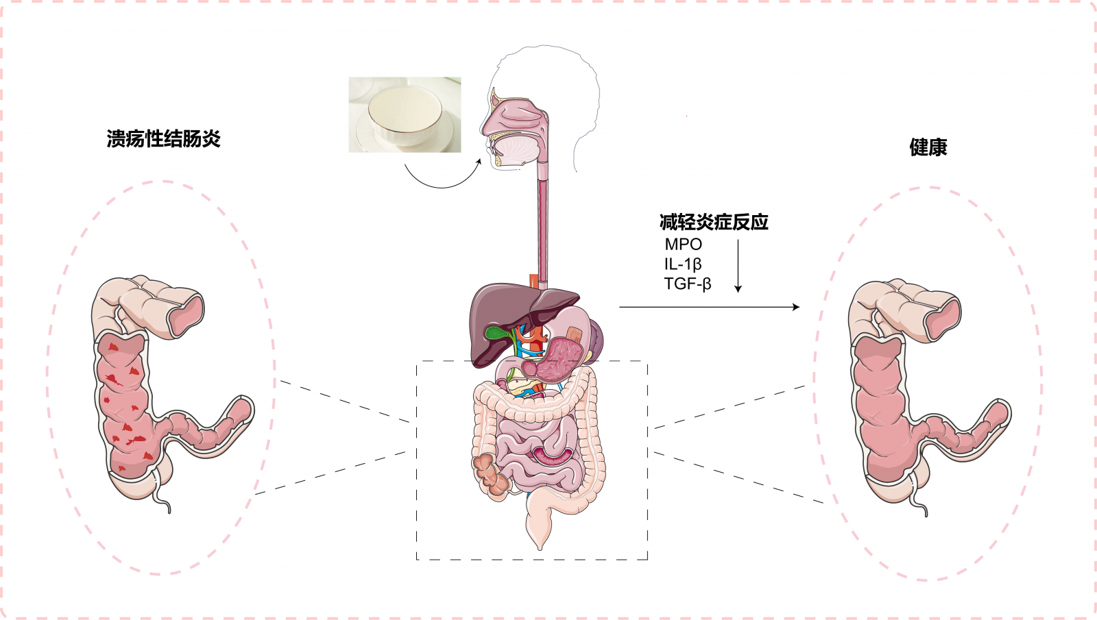 WG����(�й���)-�ٷ���վ