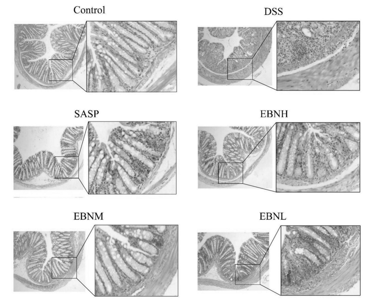 WG����(�й���)-�ٷ���վ