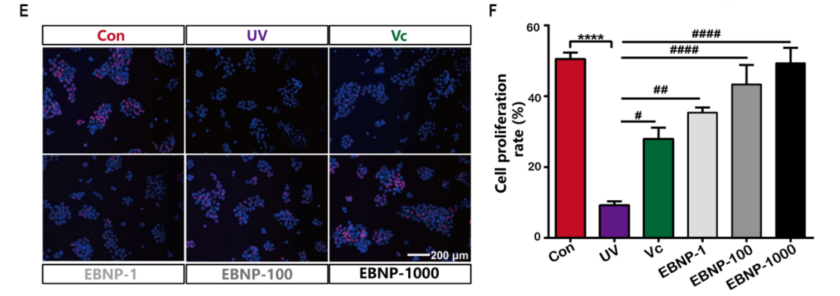 WG����(�й���)-�ٷ���վ