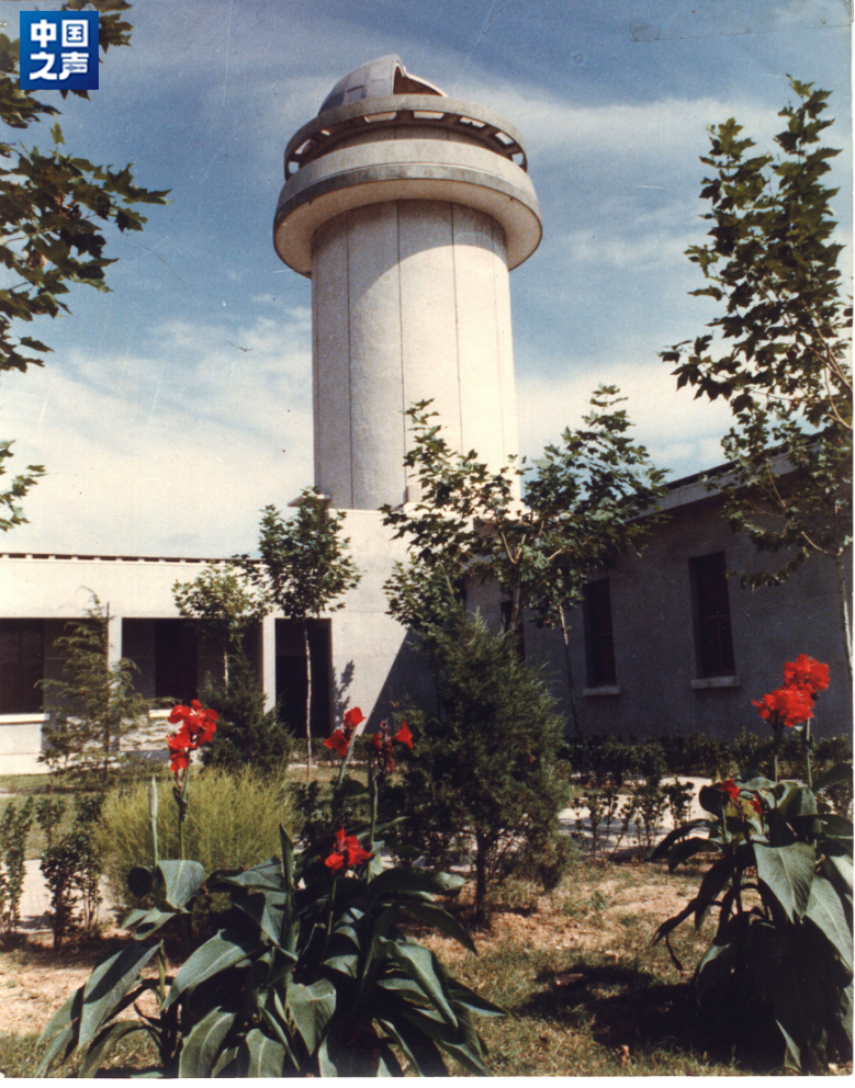 WG����(�й���)-�ٷ���վ