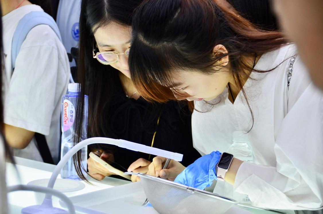 WG����(�й���)-�ٷ���վ