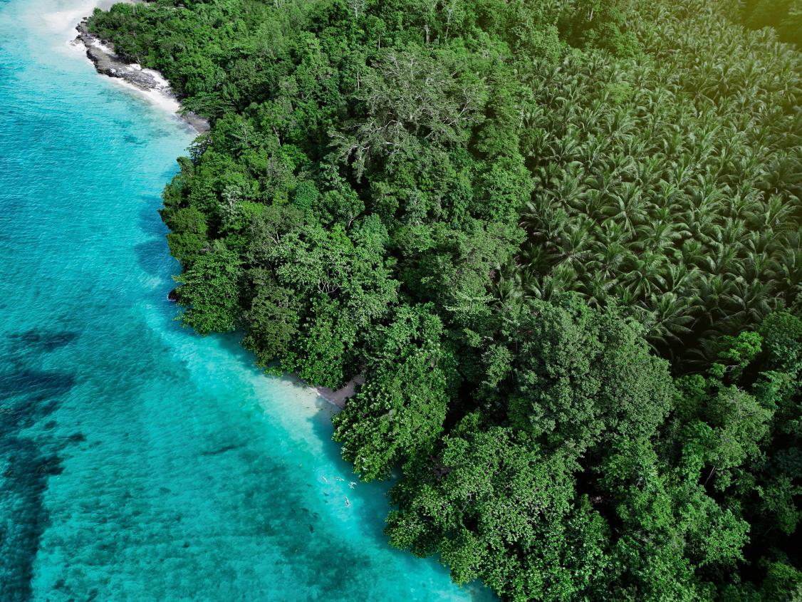 WG����(�й���)-�ٷ���վ