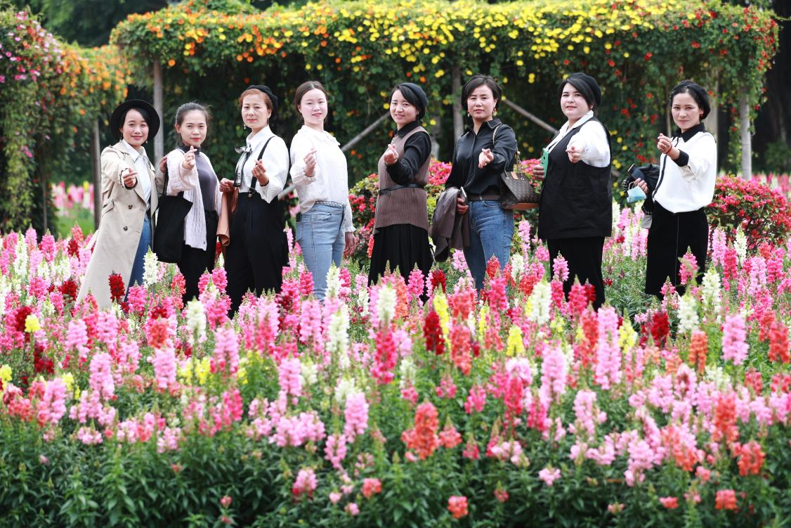 WG����(�й���)-�ٷ���վ