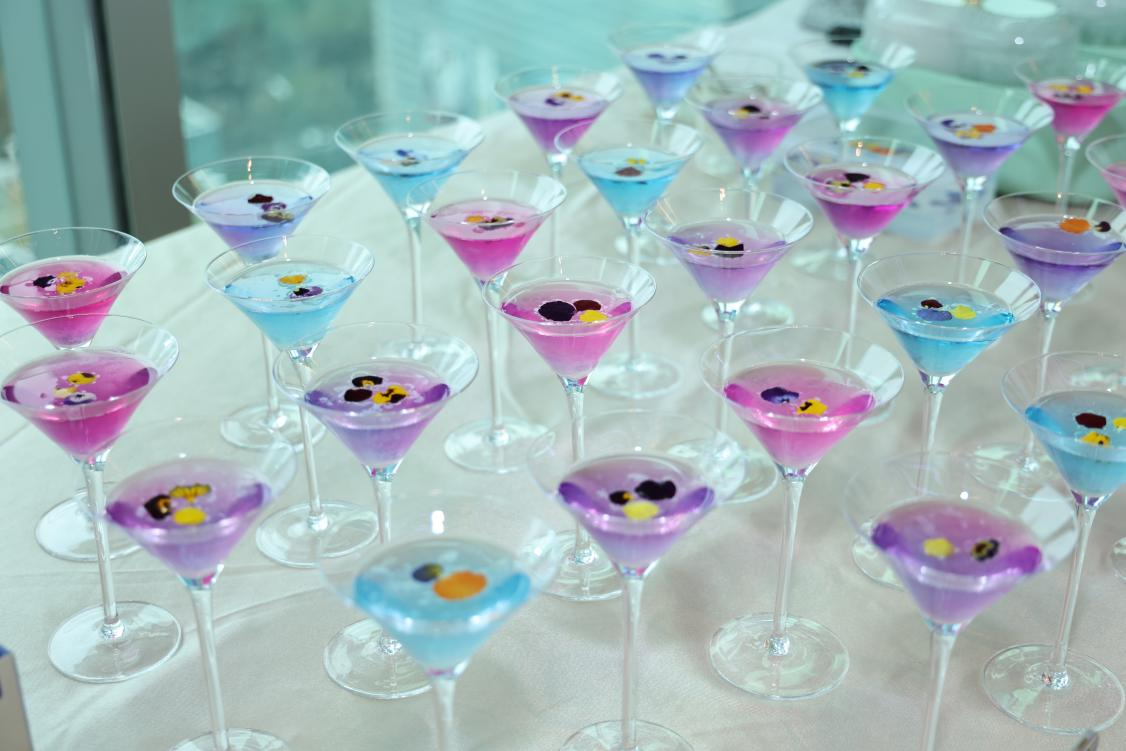 WG����(�й���)-�ٷ���վ