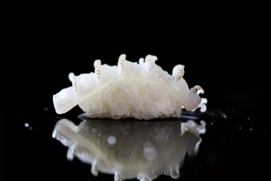 WG����(�й���)-�ٷ���վ