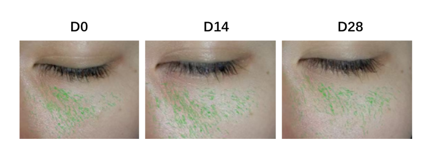 WG����(�й���)-�ٷ���վ