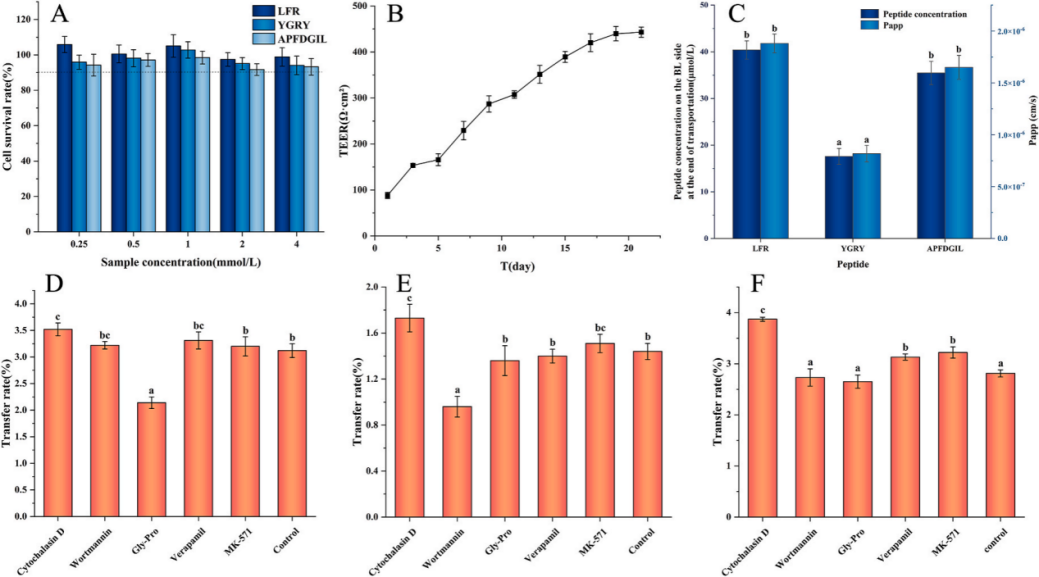 WG����(�й���)-�ٷ���վ