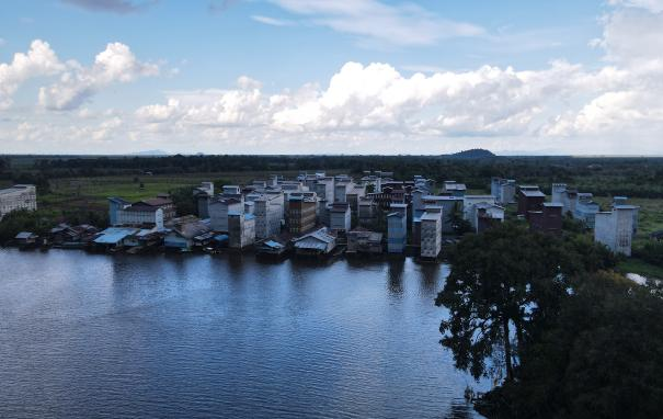 WG����(�й���)-�ٷ���վ