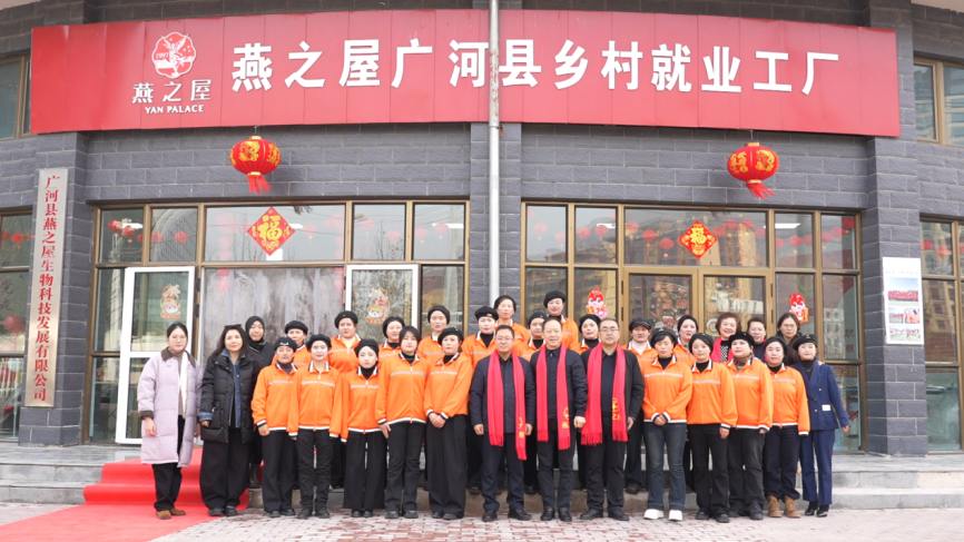 WG����(�й���)-�ٷ���վ