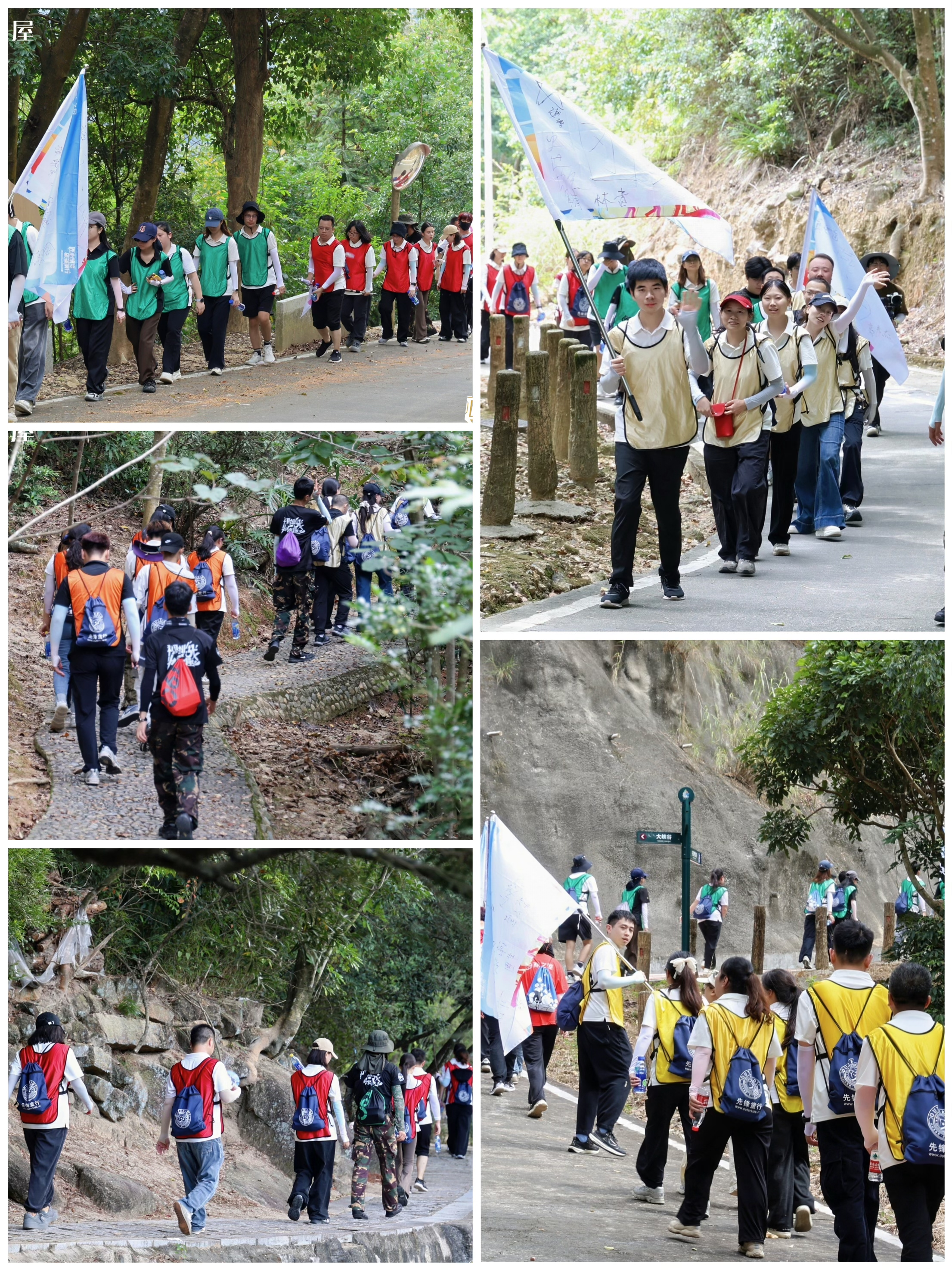 WG����(�й���)-�ٷ���վ